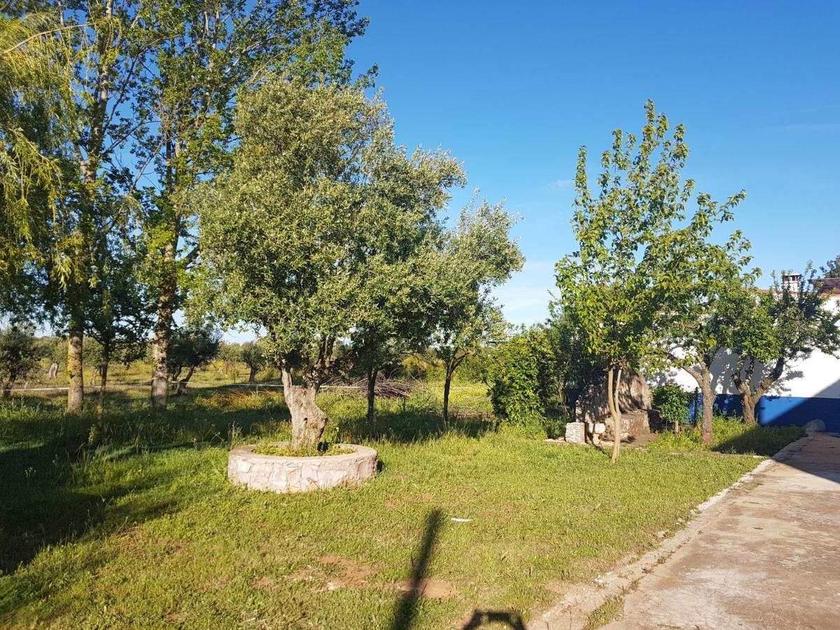 Quinta Da Paz Villa